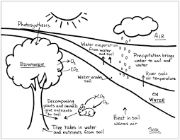 Diagram types include tree diagrams for classification, groups, hierarchies, flow diagrams and timelines for sequenced thinking such as instructions language identification learners are expected to be able to reproduce the core of the text in their own words. 2b Draw A Simplified Diagram For Your Study Site