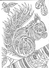 Photo By Kleurplatenvoorvolwassenen Squirrel Coloring Page Coloring Book Art Animal Coloring Pages