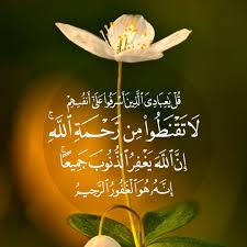 pin on بلغوا عني ولو آية