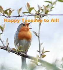 What's - Happy Tuesday!! | Facebook