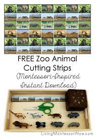 Danger to habitat and healthy habitat cards from every star is different (go to free printables tab, then to thematic activities, and then to animal activities to find the earth day unit part 2: Free Zoo Animal Printables Archives Living Montessori Now