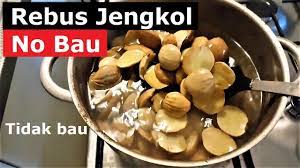 Cara Merebus Jengkol Supaya Tidak Bau No Bau Dijamin Gurih Dan Kenyal Youtube
