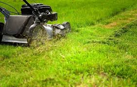 Garten mulchen sind ihre erste verteidigungslinie gegen unkraut. Mulchen Mit Einem Rasenmaher Was Sie Beachten Sollten