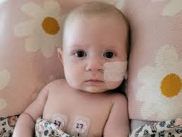 Fundraiser for Molly Howell by Emma Wetter : Millie's Heart