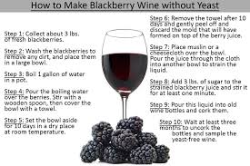 How To Make Blackberry Wine Without Yeast Home Beer And Wine Blackberry Wine Wine Recipes Wine Making Recipes
