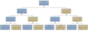 family tree everything you need to know to make family trees