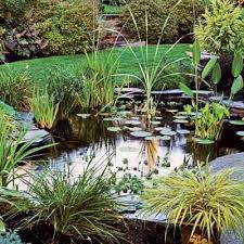 Ponds with rock edging and pebbles. Everything You Need To Know To Build The Perfect Backyard Pond This Old House