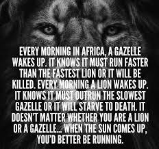 When The Sun Comes Up You Better Be Running Pin By Kenny Moore On Positive Quotes Courage Quotes Happy Motivation Me Quotes