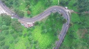 18 contoh surat pengesahan jawatan majikan kumpulan contoh surat : Journal Surga Dunia Di Kaki Gunung Gede News Liputan6 Com