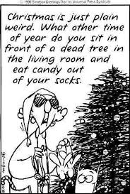 Expat Christmas Holiday Blues To Holiday Cheer Young Adventuress Christmas Quotes Funny Christmas Humor Funny Quotes