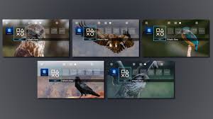 4 Cute Animals Premium Dynamic Themes Bundle Only On Playstation Buy Https Store Playstation Com En Us Home Games Discover Http Theme Cute Animals Cute