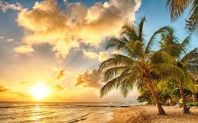 Check spelling or type a new query. Hd Wallpaper Ocean Beach Paradise Tropical Palms Sea Sunset Wallpaper Flare