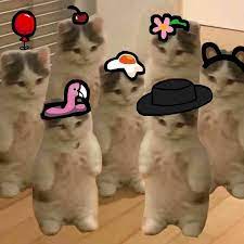 Among Us Meme Cute Memes Funny Memes Animal Memes