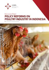 Access new updated reports and statistics for the poultry industry in malaysia. Pdf Policy Reforms On Poultry Industry In Indonesia