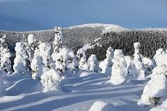 Pohled na bobovou dráhu v dolní moravě. Webkamery Dolni Morava Snow Cz
