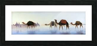 This seems to have been fixed a long time ago: Camels Crossing Water Charles Theodore Frere