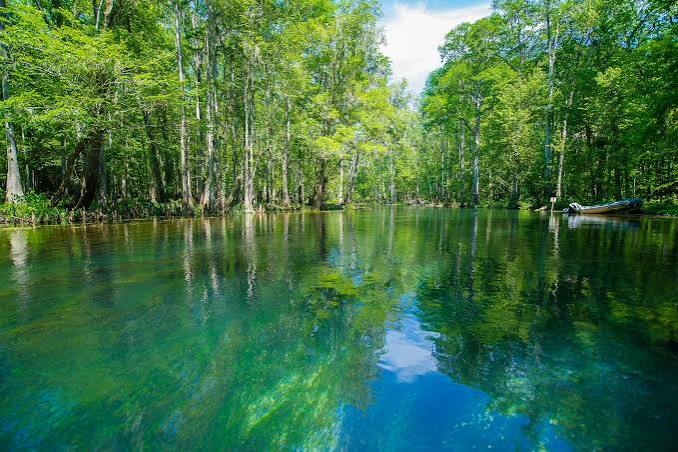 Ichetucknee Springs State Park - Lake City FL