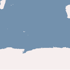 Image result for Gomphia