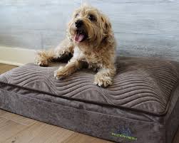 It comes in small, medium, large and jumbo sizes, as well as seven different colors. What Are The Best Dog Beds For Working Dogs Sitstay