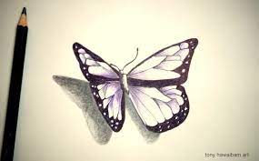 3d Art Butterfly Pencil Sketch 3d Art Art Graffiti