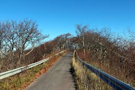 Pin On Reddish Knob
