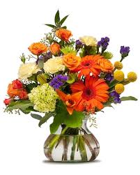 Maybe you would like to learn more about one of these? Papaya Whip In East Quogue Ny Roses And Rice