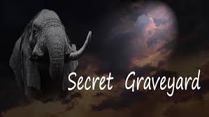 Eric Thorburn AV Judge