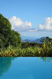 Le Jardin Malanga Basseterre Guadeloupe Guadeloupe Basse Terre Guadeloupe Air Caraibes
