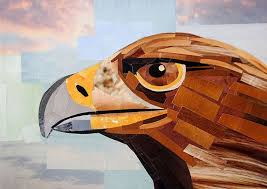 The Serious Grin Of The Eagle Is A Collage Made Entirely From Magazine Strips By Collage Artist Megan Coyle Art Magazine Collage Original Collage