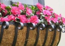 It has a sturdy frame, weighs 16 pounds, and is meant to hold three individual flower pots. Window Boxes That Raise The Bar Bob Vila