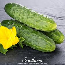 Image result for Cucumis