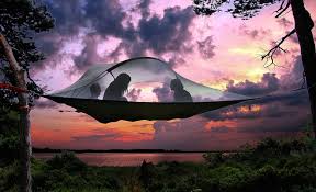 Not quite a hammock, not quite a tent, the tentsile encases you (and a companion) in a suspended pod with the floor space and support of a tent bottom. Tentsile Tent Cocoon For Palm Trees And Attention Seekers Green Prophet