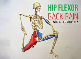 When these muscles get tight, as they often do, you may find that along with hip pain, your lower back hurts—but you can't figure out why. Are Your Hip Flexors Causing Your Low Back Pain Total Therapy