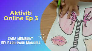Aktiviti untuk kanak kanak mp3 & mp4. Cara Buat Paru Paru Diy Aktiviti Kanak Kanak 4 6 Tahun Youtube
