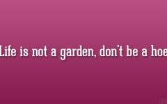 Cute Quotes Selfie Quotes Insta Bio Quotes Cute Quotes