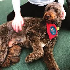 Happy Halloween! And Happy Thanksgiving!