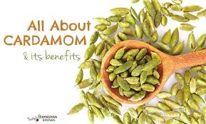 all about cardamom and its health benefits with recipes kind earth cardamom and its health benefits
