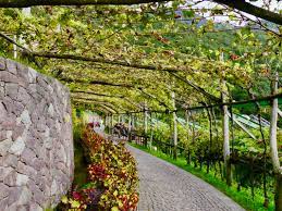 Tripadvisor has 47 reviews of trautmannsdorf hotels, attractions, and restaurants making it your best trautmannsdorf resource. Wunderschon Die Aussergewohnlichen Garten Von Schloss Trautmannsdorf Wunderschon