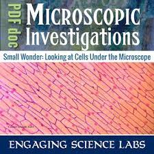 Note the time of adding pollen to the medium and place the slides in the petri dish. Plant And Animal Cells Make Your Own Microscope Slides To Compare Cell Types