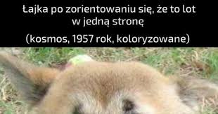 Radzieccy naukowcy nie przewidywali jej powrotu. Zaraz Co Jeja Pl