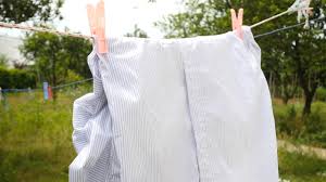 How to remove coffee stains from your carpet, clothes, and just about everything else. How To Remove A Coffee Stain From A Cotton Shirt 14 Steps