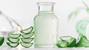 Bei der verwendung von aloe vera gel sollte man auch darauf achten, dass das gel eine hohe konzentration von aloe vera beinhaltet, um so höchstmögliche wirkung zu erzielen. Alleskonner Aloe Vera So Konnen Sie Aloe Vera Gel Ganz Einfach Selbst Herstellen Gq Germany