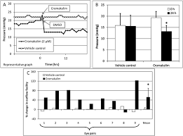Now go to custom and paste it. Ocular Hypotensive Effects Of The Atp Sensitive Potassium Channel Opener Cromakalim In Human And Murine Experimental Model Systems