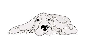 How To Draw A Cocker Spaniel - My How To Draw