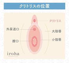 女性はオナニーしている？ イクためのやり方・グッズも紹介【医師監修】 ｜ iro iro iroha 女性のきもちよさに寄り添う情報をお届けします