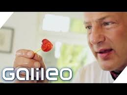 Do It Yourself Sussigkeiten Backen Galileo Prosieben Gummibaren Selber Machen Brausepulver Sussigkeiten Selber Machen