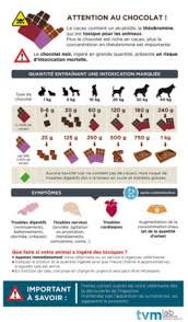 Aliments Et Produits Toxiques Responsables De Crises Convulsives Mon Animal Epileptique
