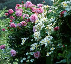 Search for your perfect free flowers vector graphics through millions of free images from all over the internet. Magic Flowers And Trees Garden Tips And Tricks Home Facebook
