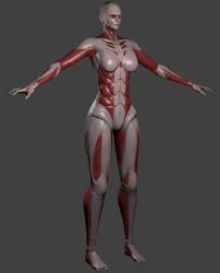 Titan Form Annie Model Based On Attack On Titan Shingeki No Kyojin Anime Please Don T Be Attracted To This Female Titan Attack On Titan Shingeki No Kyojin