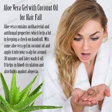 Studies have shown that when castor oil is applied topically, it reduces inflammation and. Aloe Vera Gel With Coconut Oil For Hair Fall Antihairfall Aloevera Natural Antibacterial Antifun Coconut Oil Hair Aloe Vera For Hair Aloe Vera Moisturizer